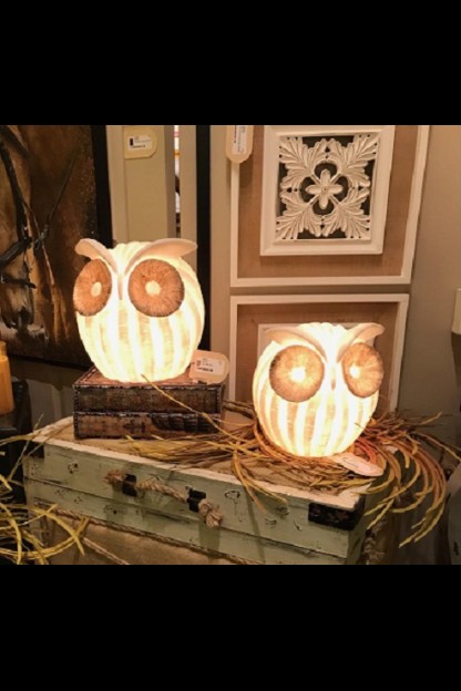OUT OF STOCK  8"H OWL LAMP [480737]